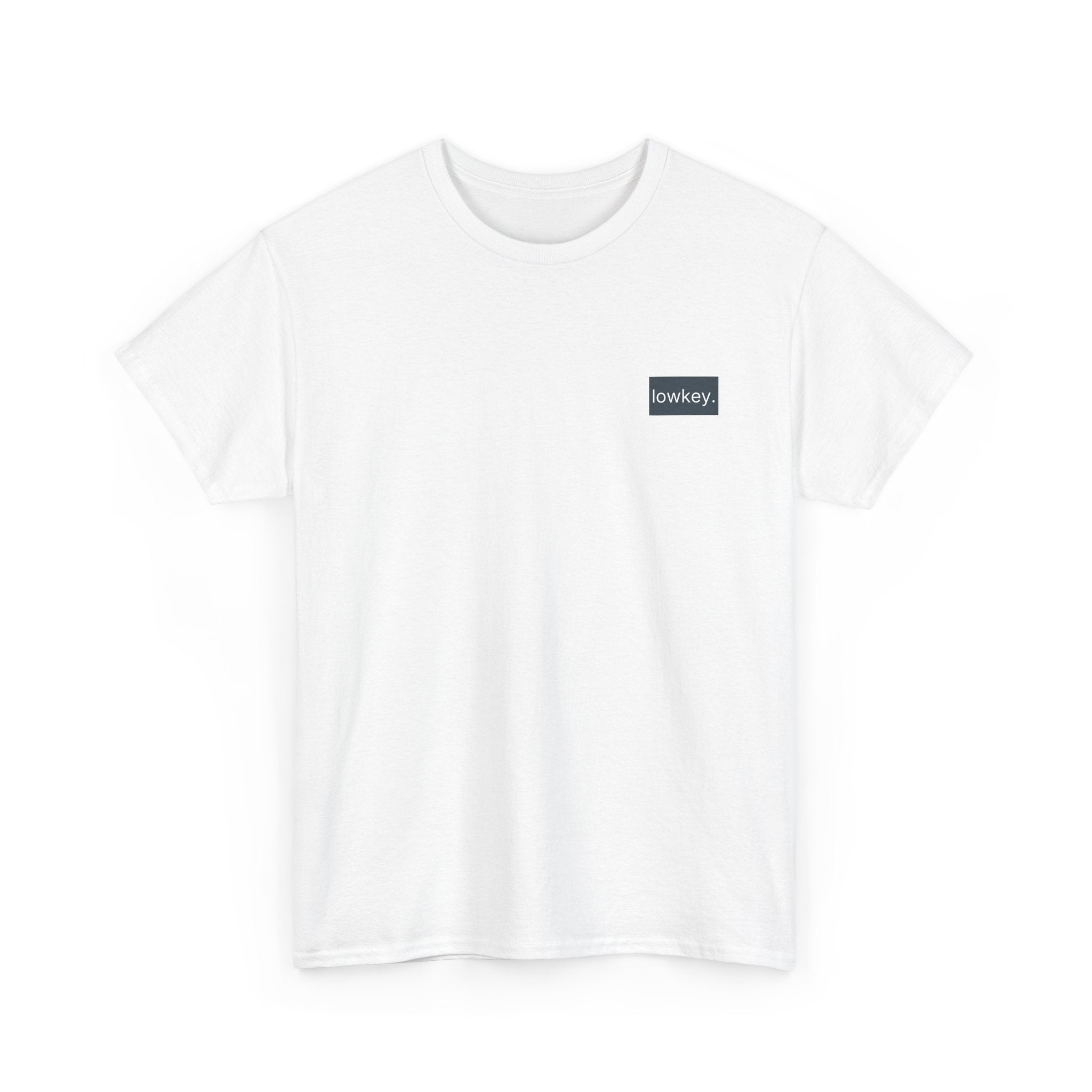 lowkey "Play Hard recover easy" premium Tee
